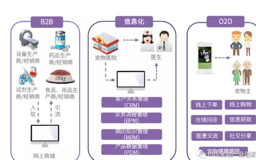 優(yōu)寵智能2021 寵物產(chǎn)品與服務(wù)的引爆點與網(wǎng)絡(luò)技術(shù)服務(wù)新路徑
